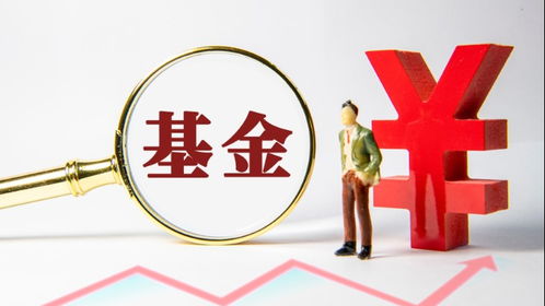 財(cái)經(jīng)滾動(dòng) 數(shù)字時(shí)代的新聞脈搏與信息服務(wù)革新